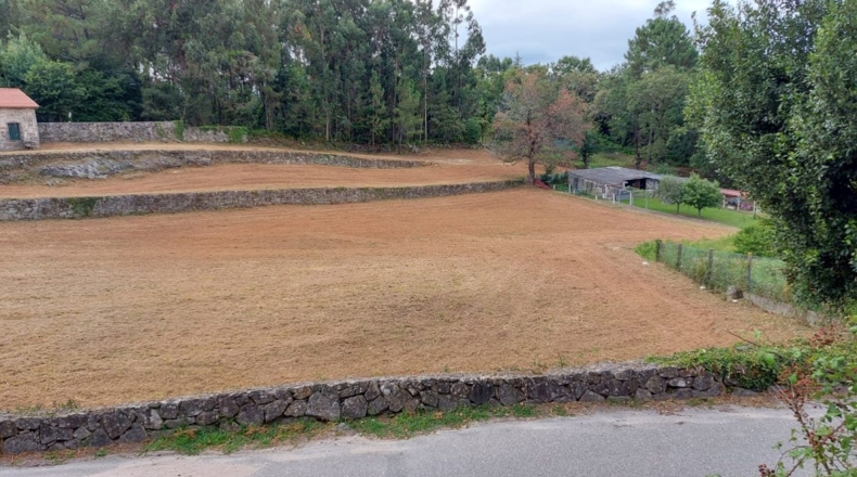 Pontevedra - Pontevedra - 6540m2
