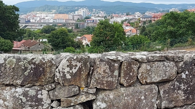 Pontevedra - Pontevedra - 6540m2