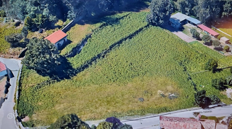 Pontevedra - Pontevedra - 6540m2