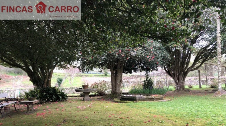 Pontevedra - Areas - 39000m2