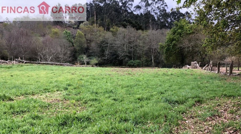 Pontevedra - Areas - 39000m2