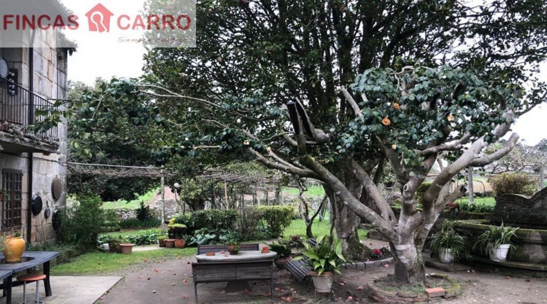 Pontevedra - Areas - 39000m2