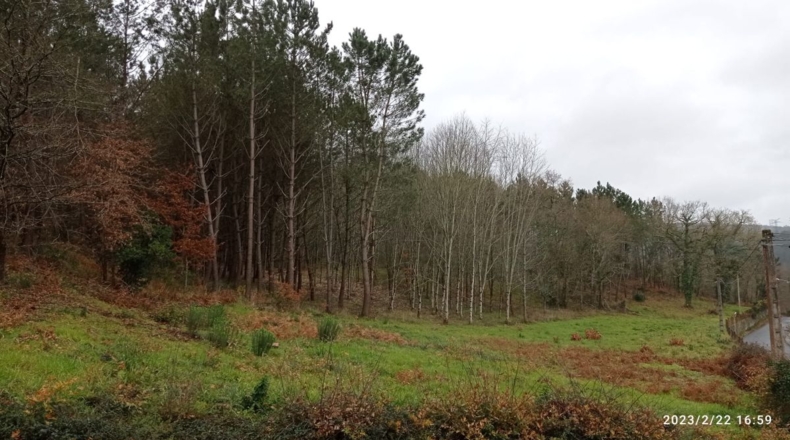 Pontevedra - A Moa - 27000m2