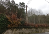 Non-developable land for sale in Vila de Cruces ref: TR89613 photo