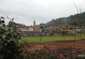 Non-developable land for sale in Vila de Cruces ref: TR89613 photo