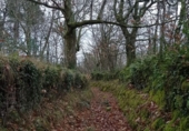 Non-developable land for sale in Vila de Cruces ref: TR89613 photo