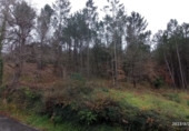 Non-developable land for sale in Vila de Cruces ref: TR89613 photo