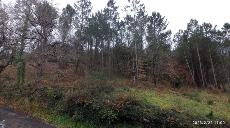 Pontevedra - A Moa - 27000m2