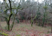 Non-developable land for sale in Vila de Cruces ref: TR89613 photo