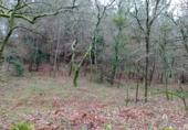 Non-developable land for sale in Vila de Cruces ref: TR89613 photo
