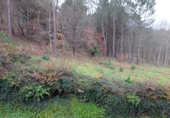 Non-developable land for sale in Vila de Cruces ref: TR89613 photo