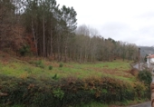 Non-developable land for sale in Vila de Cruces ref: TR89613 photo