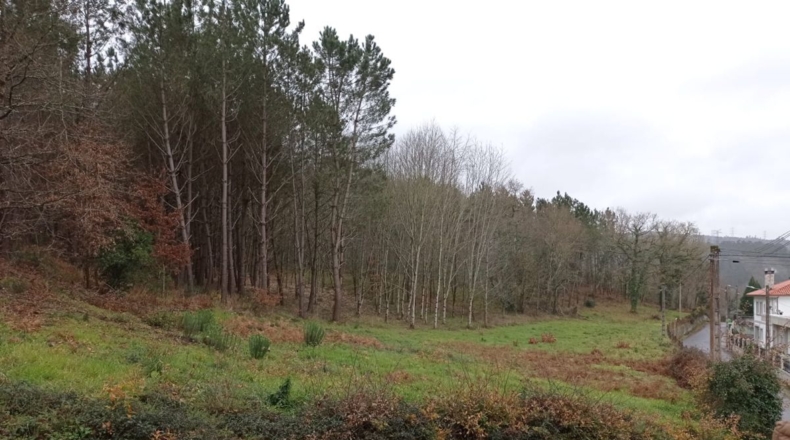 Pontevedra - A Moa - 27000m2