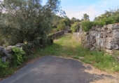 Non-developable land for sale in Cerdedo ref: TR89838 photo