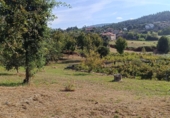 Non-developable land for sale in Cerdedo ref: TR89838 photo