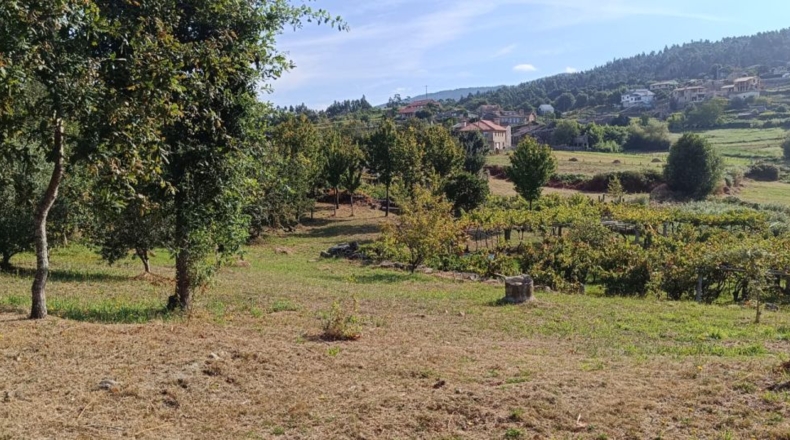 Pontevedra - Parada - 1900m2