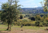 Non-developable land for sale in Cerdedo ref: TR89838 photo