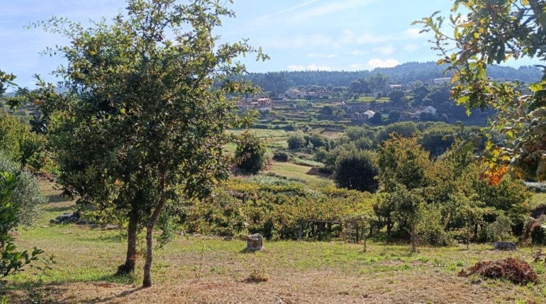 Pontevedra - Parada - 1900m2