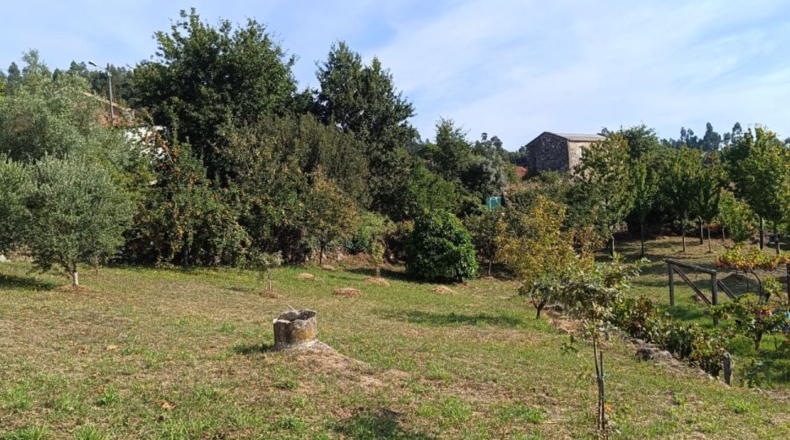Pontevedra - Parada - 1900m2