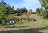 Non-developable land for sale in Cerdedo ref: TR89838 photo