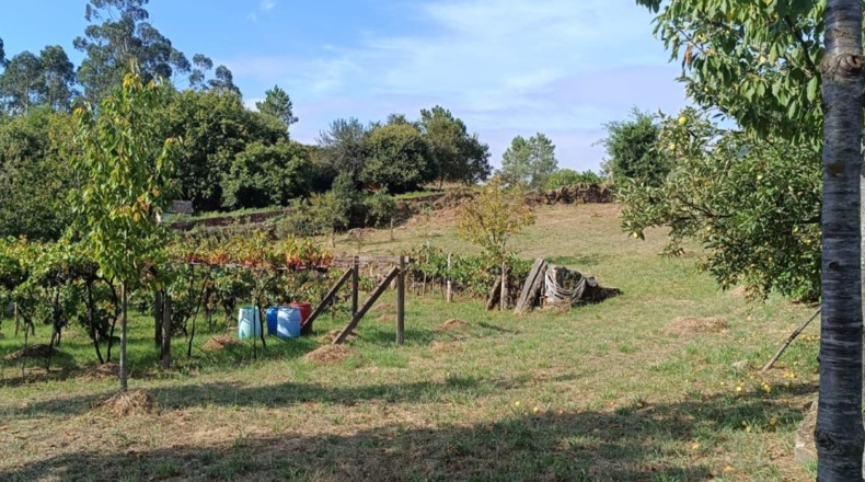 Pontevedra - Parada - 1900m2