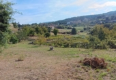Non-developable land for sale in Cerdedo ref: TR89838 photo