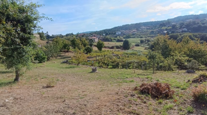 Pontevedra - Parada - 1900m2
