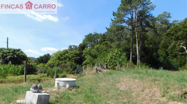 Pontevedra - O Pazo - 786m2