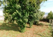 Urban land for sale in Poio de Arriba ref: TR92968 photo