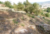 Urban land for sale in Poio de Arriba ref: TR92968 photo