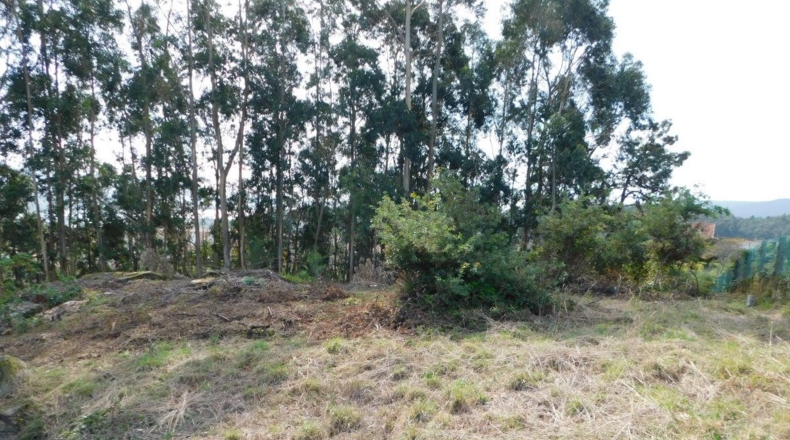 Pontevedra - O Vao - 2746m2