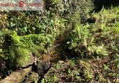 Land suitable for development for sale in Pontevedra ref: TR92967 photo