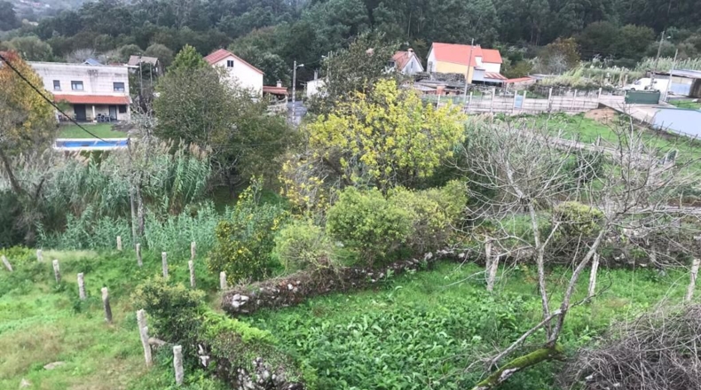Pontevedra - Paredes - 1515m2