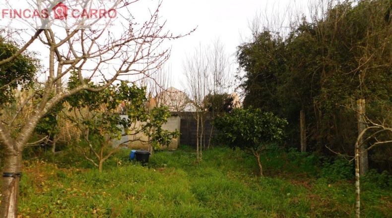 Pontevedra - O Casal - 226m2