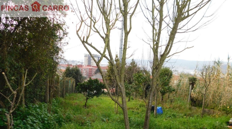 Pontevedra - O Casal - 226m2