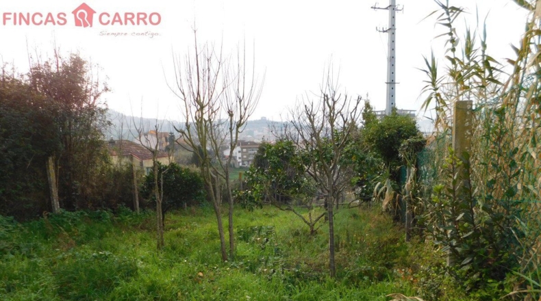 Pontevedra - O Casal - 226m2