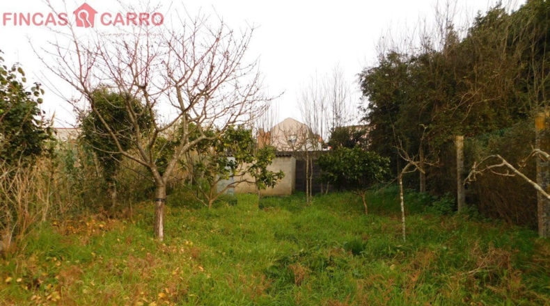 Pontevedra - O Casal - 226m2