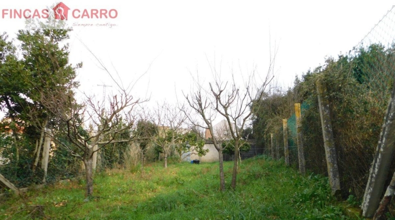 Pontevedra - O Casal - 226m2