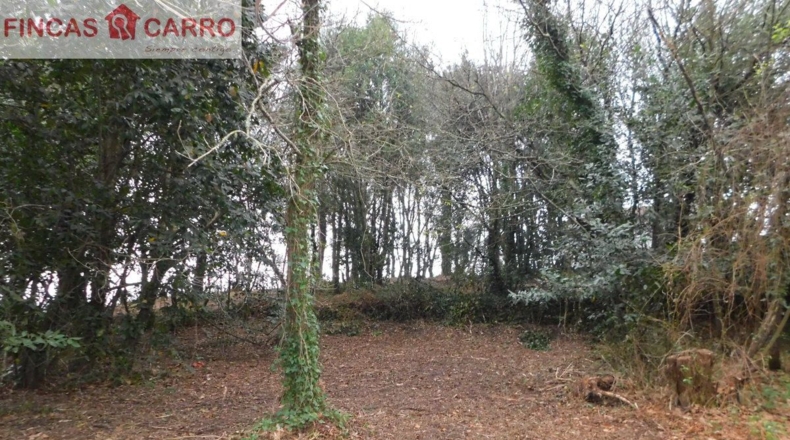 Pontevedra - Beade - 1550m2