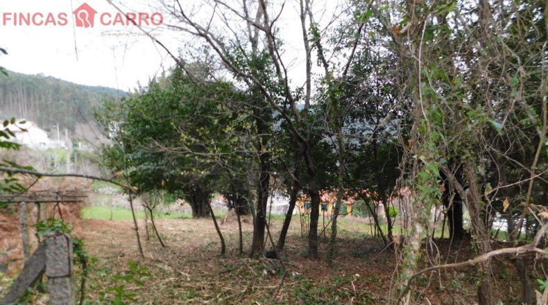 Pontevedra - Beade - 1550m2