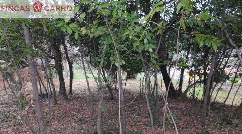 Pontevedra - Beade - 1550m2