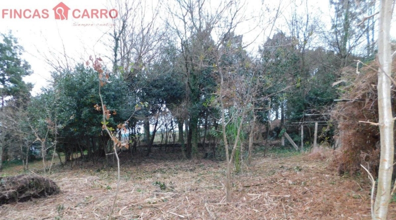 Pontevedra - Beade - 1550m2