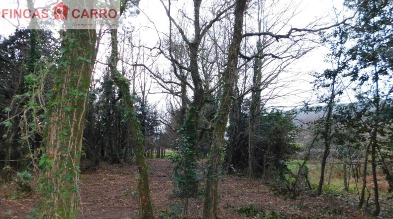 Pontevedra - Beade - 1550m2