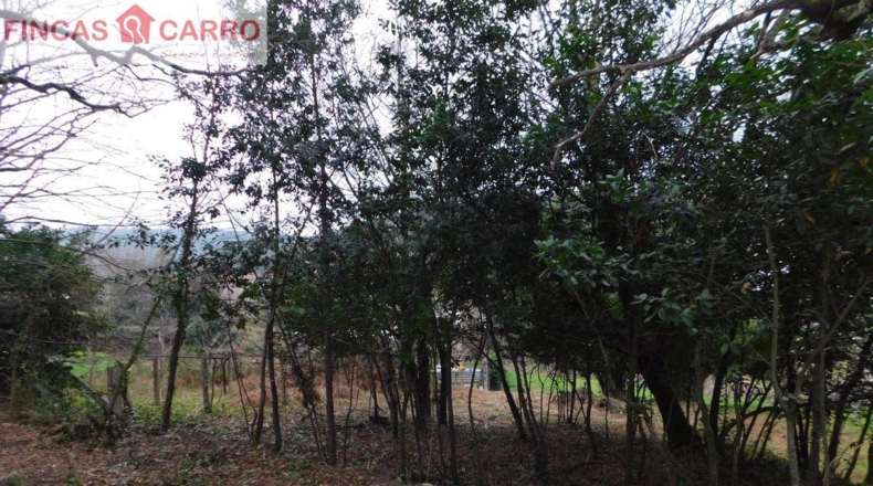 Pontevedra - Beade - 1550m2