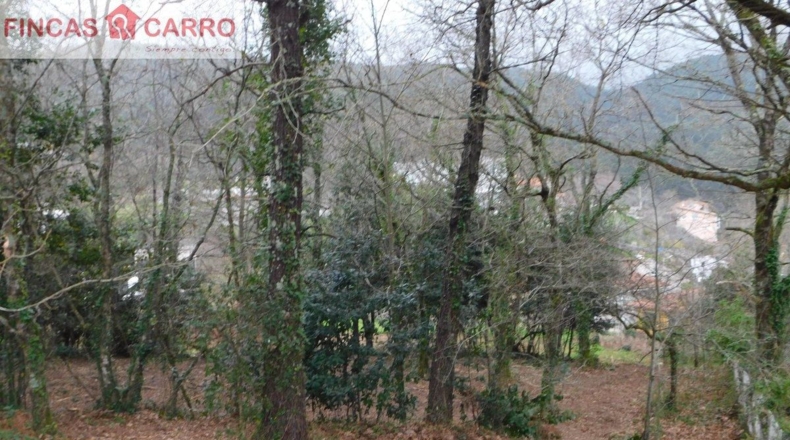 Pontevedra - Beade - 1550m2