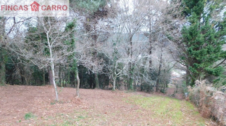 Pontevedra - Beade - 1550m2