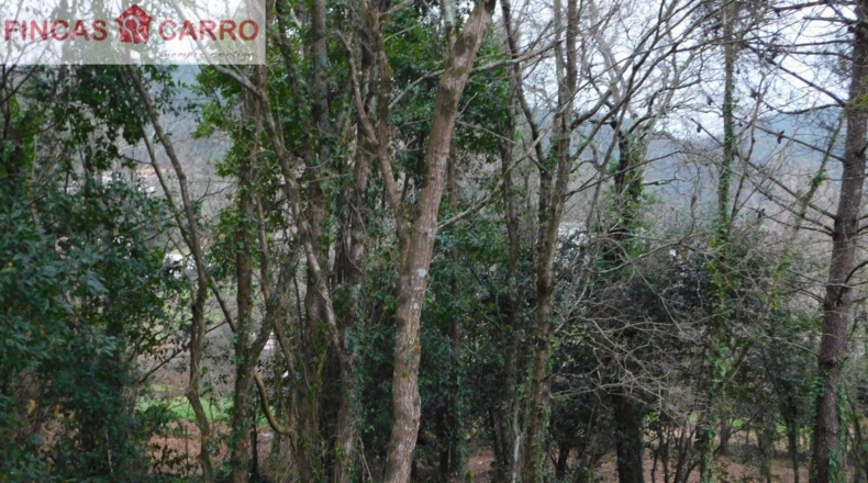 Pontevedra - Beade - 1550m2