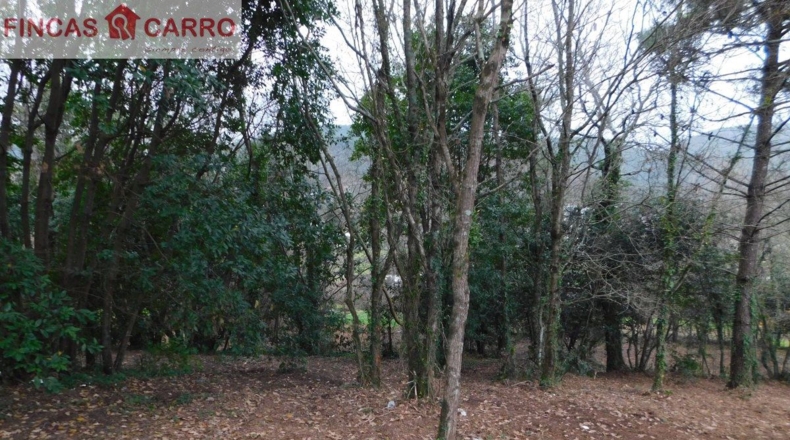Pontevedra - Beade - 1550m2