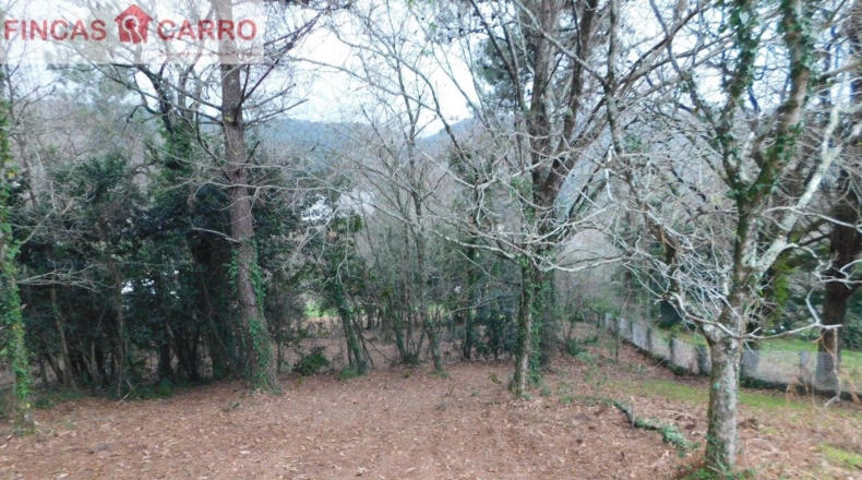 Pontevedra - Beade - 1550m2
