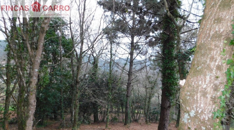Pontevedra - Beade - 1550m2